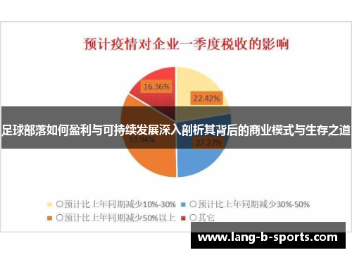 足球部落如何盈利与可持续发展深入剖析其背后的商业模式与生存之道