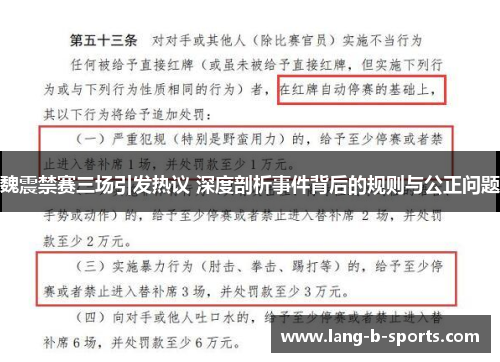 魏震禁赛三场引发热议 深度剖析事件背后的规则与公正问题