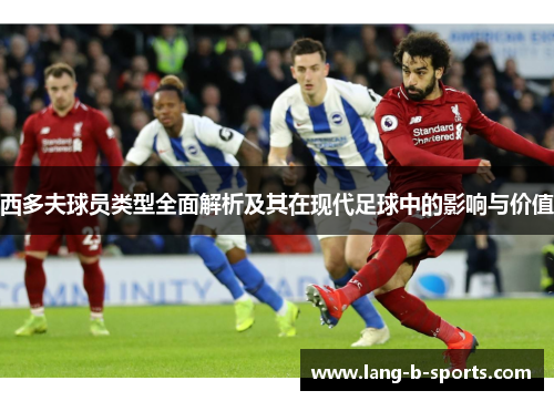 西多夫球员类型全面解析及其在现代足球中的影响与价值