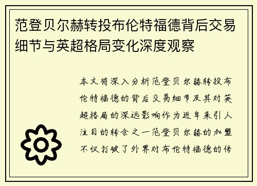 范登贝尔赫转投布伦特福德背后交易细节与英超格局变化深度观察
